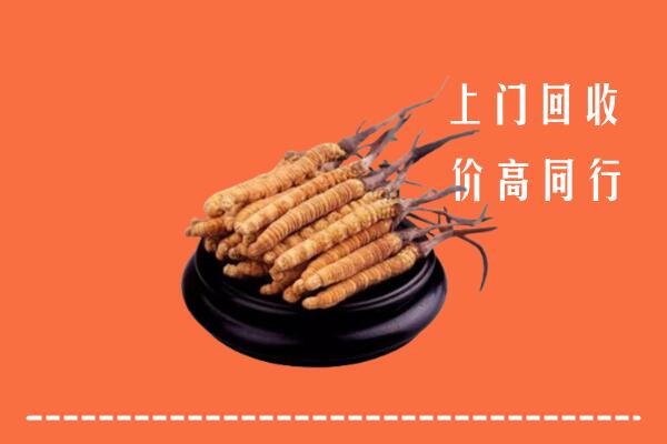 高价求购：抚顺回收散虫草