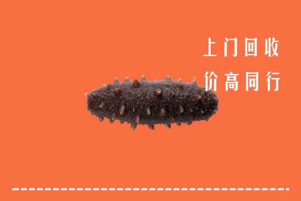 高价求购：抚顺回收海参