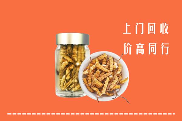 抚顺回收冬虫夏草