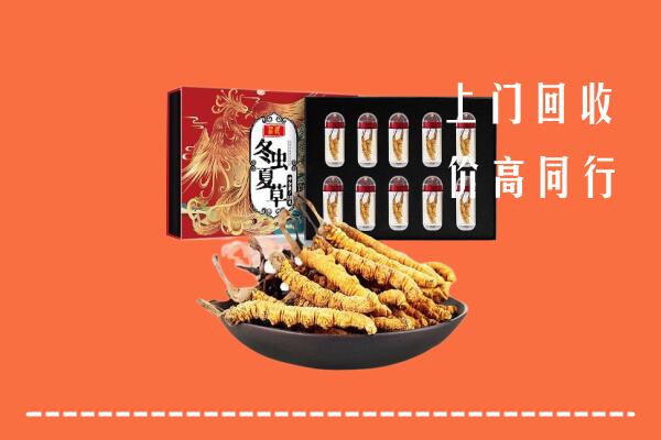 抚顺回收虫草